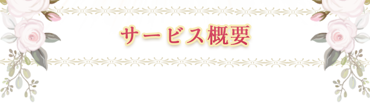 サービス概要